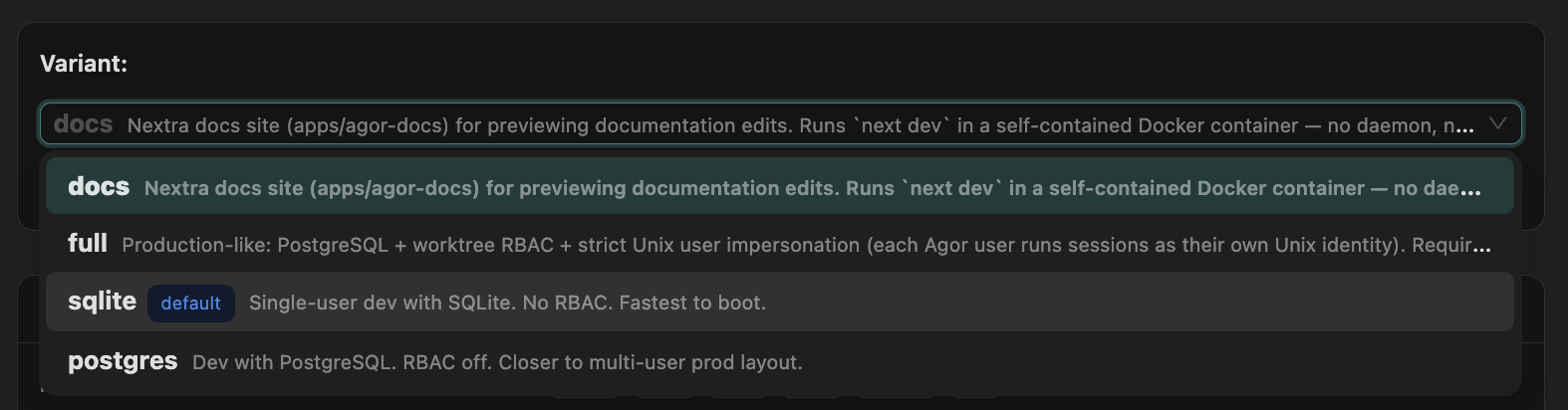 Variant dropdown open showing four named variants — docs, full, sqlite (default), postgres — each with a one-line description